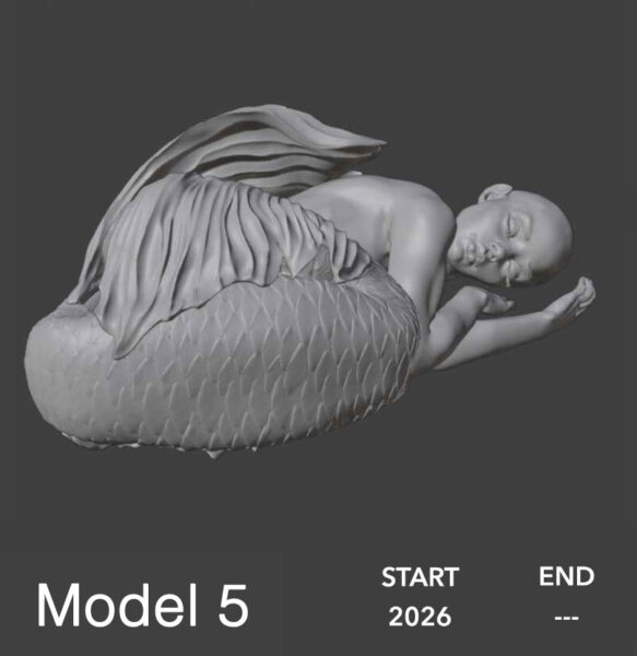 model 5